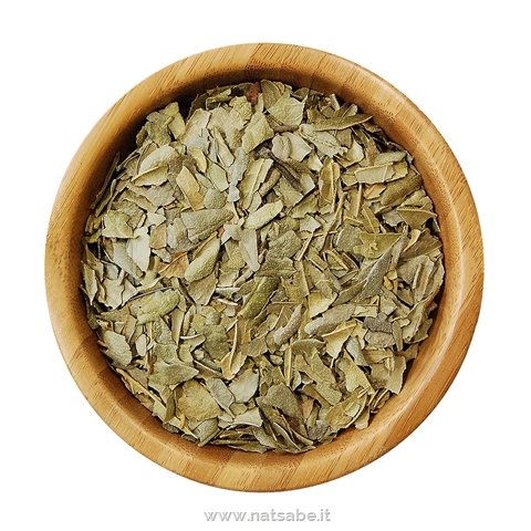 Biokyma - Herbs - Boldo leaves - 1 kg | Medicinal Herbs | Erboristeria Natsabe: online selling