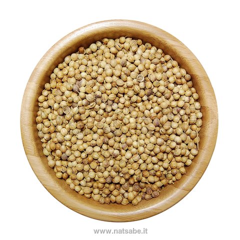 Erbamea - Organic Herbs - Coriander fruits - 1 kg | Organic  Medicinal Herbs | Erboristeria Natsabe: online selling