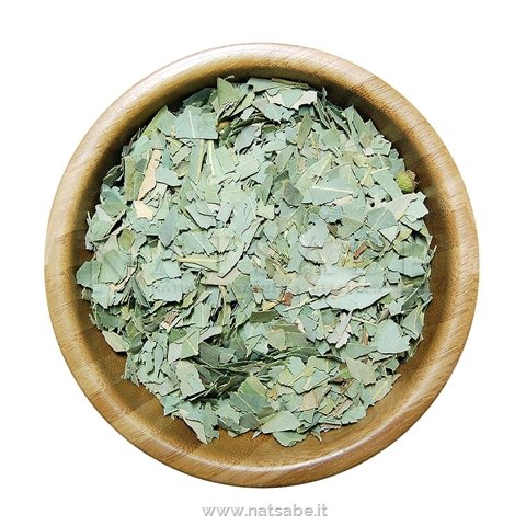 Biokyma - Erbe - Eucalipto foglie tagliate - 100 g | Erbe officinali |  Erboristeria Natsabe: vendita online | erbe officinali, tisane, integratori