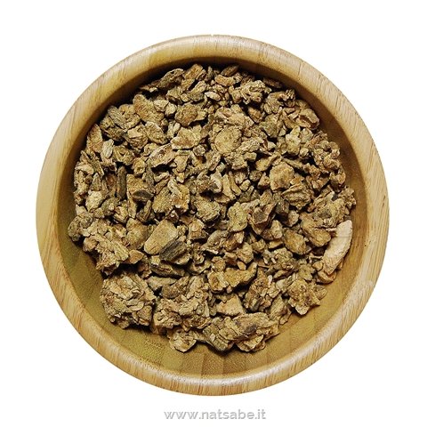 Biokyma - Herbs - Chinese Rhubarb rhizome - 100 g | Medicinal Herbs | Erboristeria Natsabe: online selling