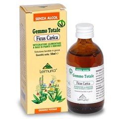 Estratto Totale di Ficus Carica gemme - 100 ml