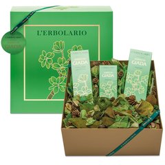 Jade's Tree - Gift Box