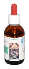 Estratto Spagirico di Ginkgo biloba - 50ml