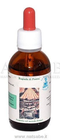 Astrum Spagirici - Estratto Spagirico di Ginkgo biloba - 50ml | Estratti spagirici |  Erboristeria Natsabe: vendita online | erbe officinali, tisane, integratori