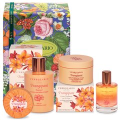 Frangipani - Gift Box