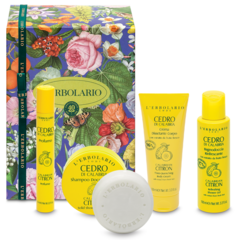 Gift Set Citron