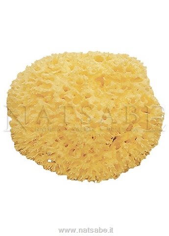 Bellini - Natural Sponge of the Mediterranean Sea | Accessories | Erboristeria Natsabe: online selling